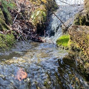 Meet your Posher, Oliver